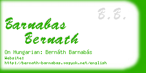 barnabas bernath business card